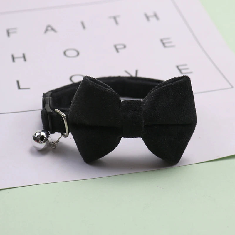 Boy dog collar with bow tie