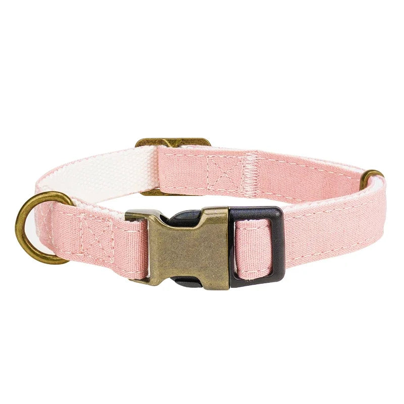 Baby pink padded dog collar