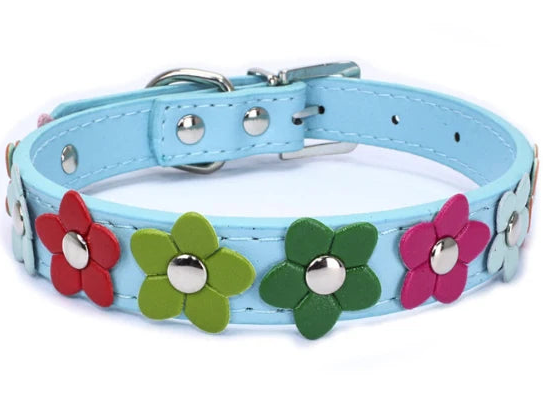 Leather dog collar with flowers