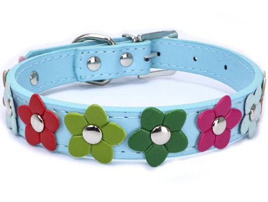 Leather dog collar with flowers