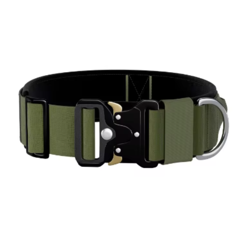 Tactical puppy collar