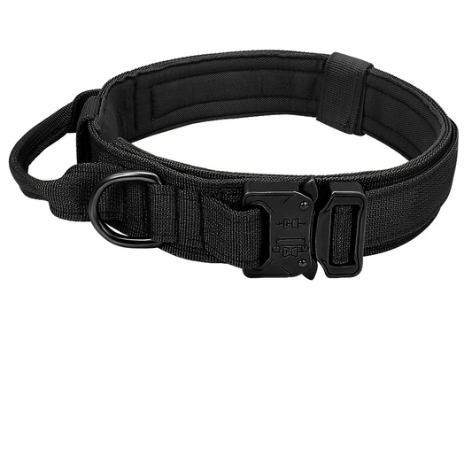 Black padded dog collar