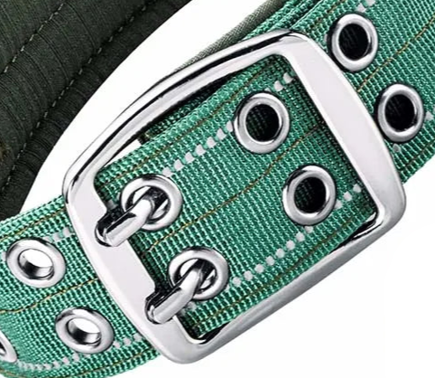 Forest green dog collar