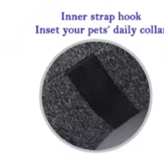 Canine inflatable collar