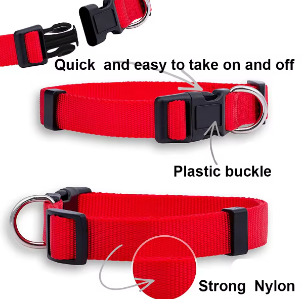 Quick release puppy collar