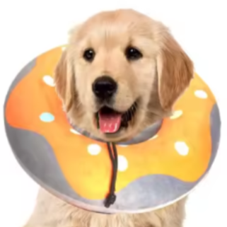 Inflatable anti-lick dog collar