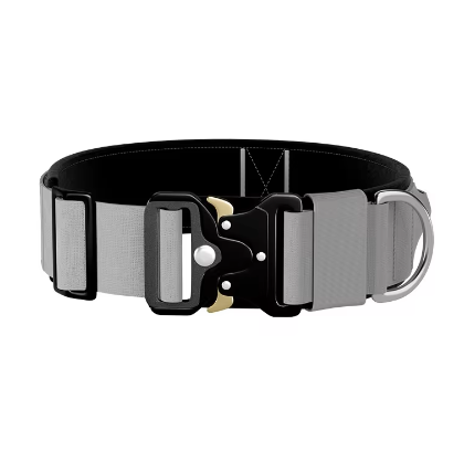 2 inch tactical dog collar