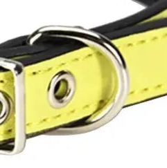 Yellow leather dog collar