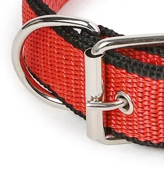 Boy dog collar