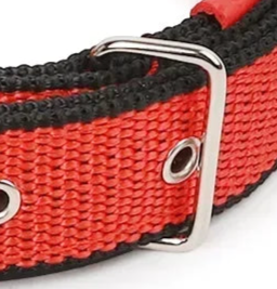 Boy dog collar