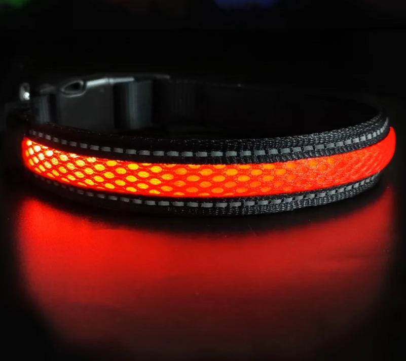 Red LED dog collar