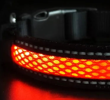 Red LED dog collar