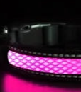 Bright dog collar