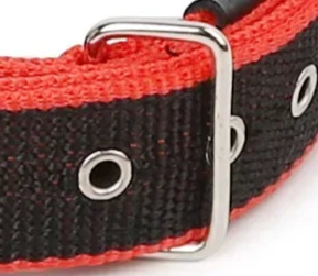 Dog collar metal buckle