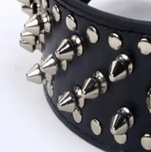 Black leather dog collar with studs