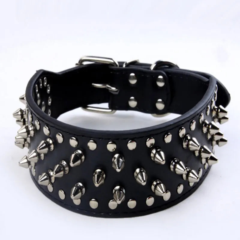 Black leather dog collar with studs