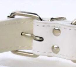 Leather dog collar with studs