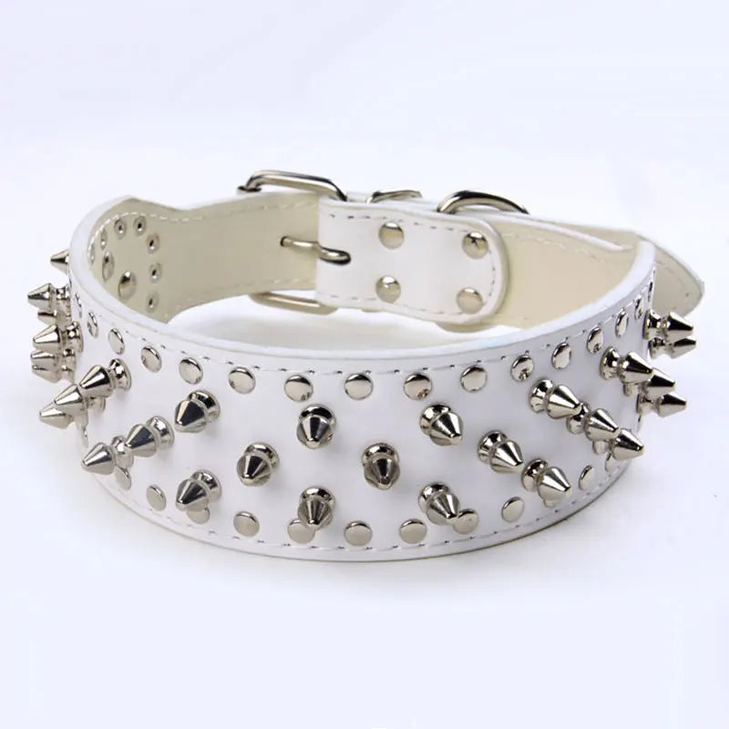 White dog collar with studs