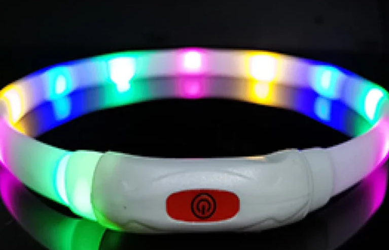 Rainbow LED dog collar