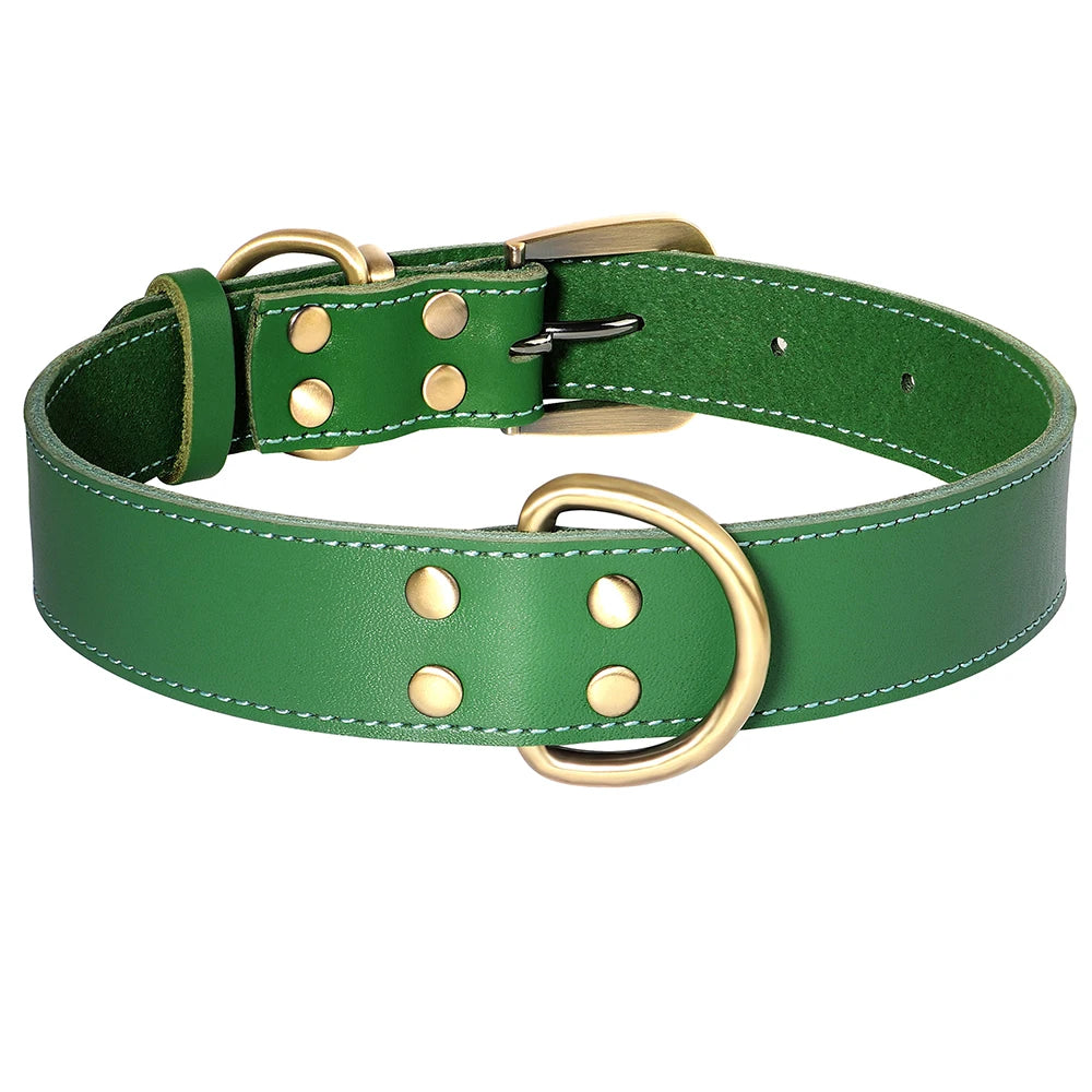 Lime green dog collar