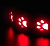 LED dog collar rechargeable