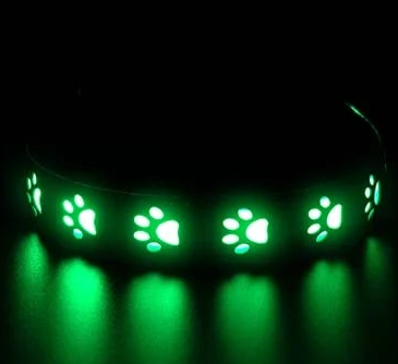 Light up collar for small dogs