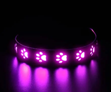 XS light up dog collar