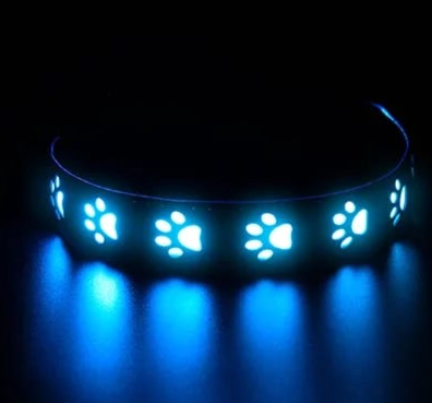 Night dog collar light up