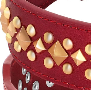 Luxury leather dog collar