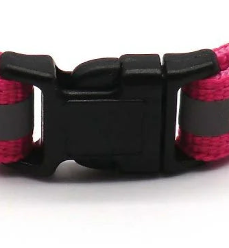 Reflective glow in the dark dog collar