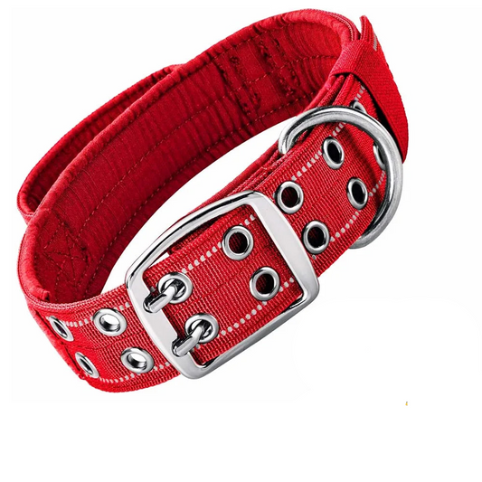 Dog walking collar