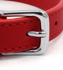 Premium leather dog collar