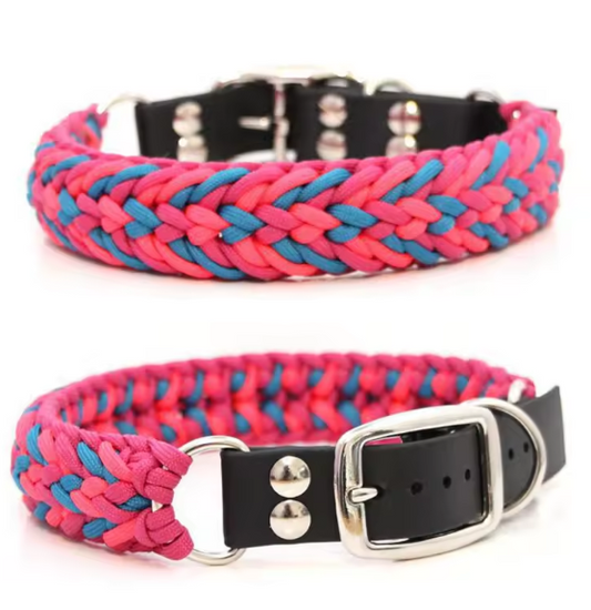 4 strand paracord dog collar