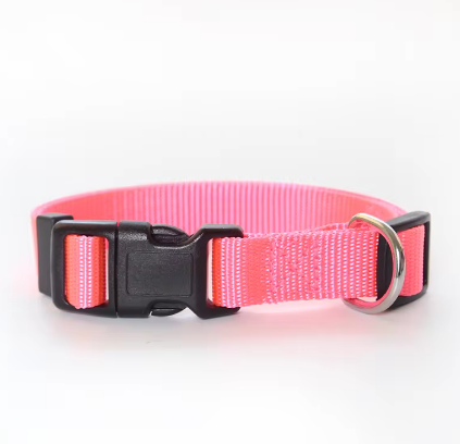 Puppy collar and lead set