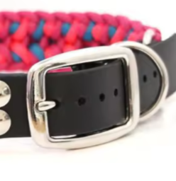 4 strand paracord dog collar