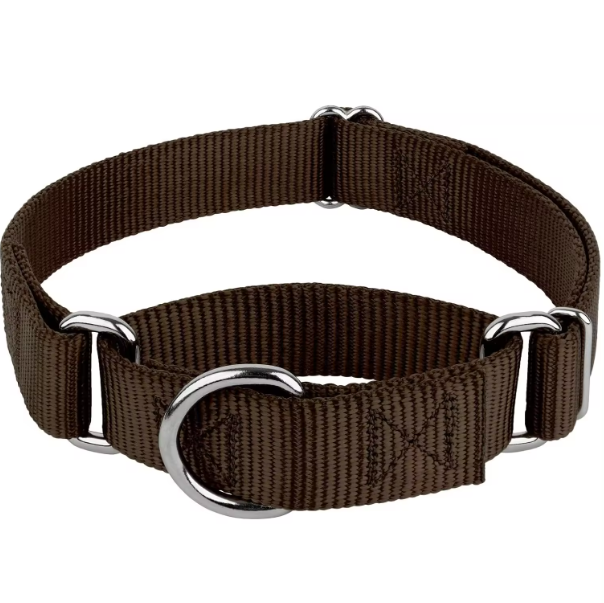 Black dog martingale collar