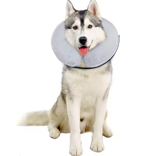 Inflatable pet collar