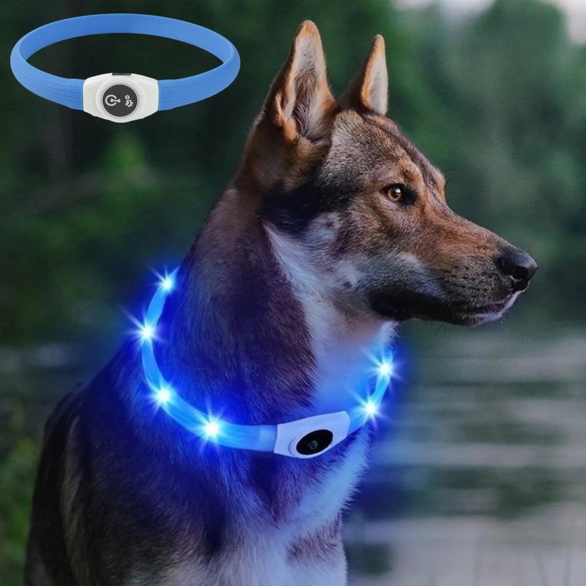 Small collar LED light