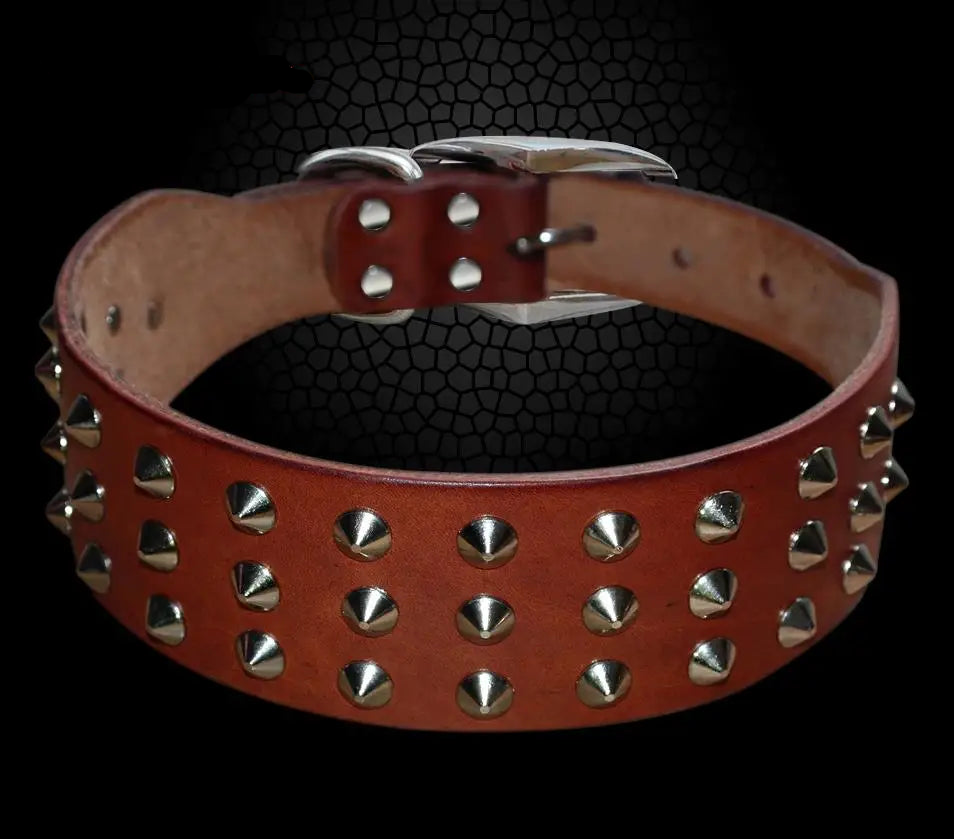 Leather studded dog collar