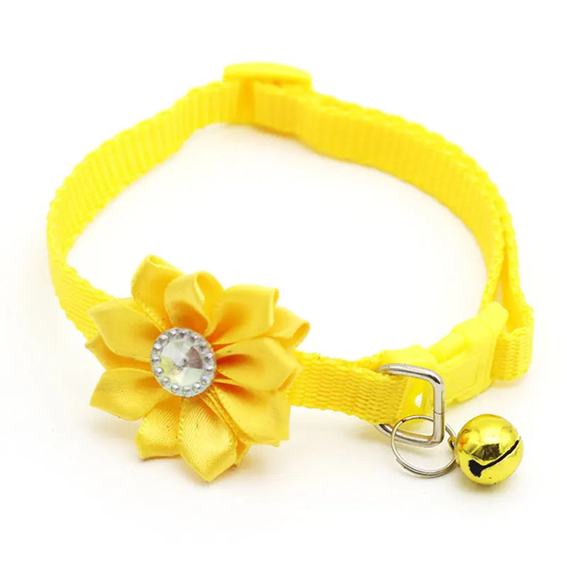 Yellow flower dog collar