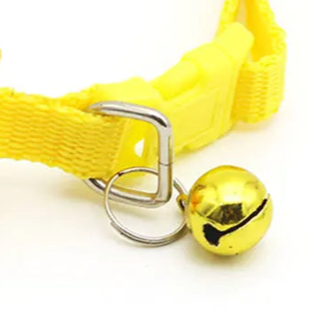 Yellow flower dog collar