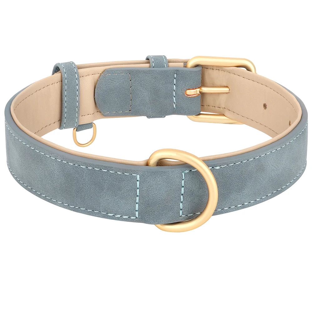 Padded leather dog collar