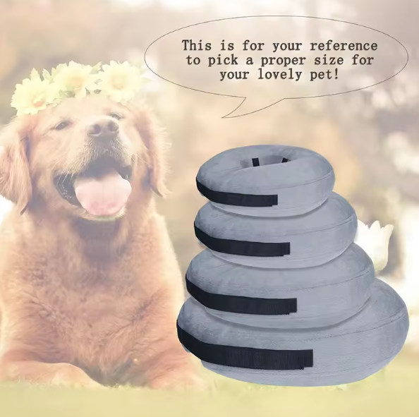 Inflatable pet collar