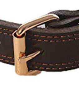 Heavy duty leather dog collar