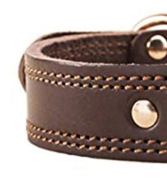 Leather tactical leather dog collar