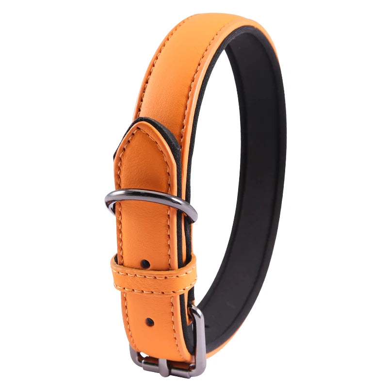 Orange leather dog collar