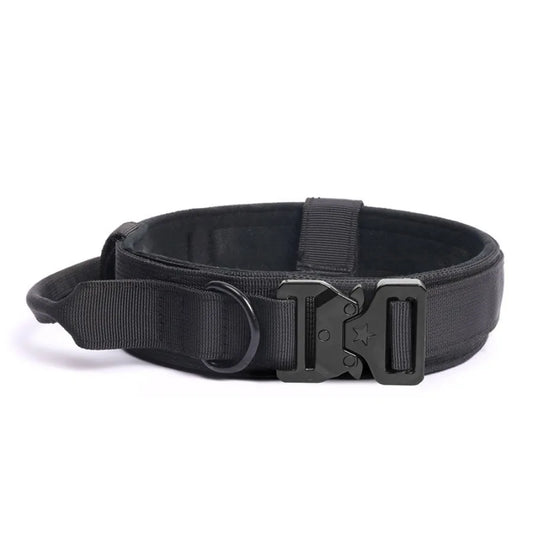 Thick black dog collar