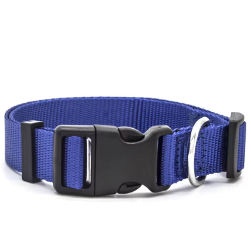 Tactical puppy collar