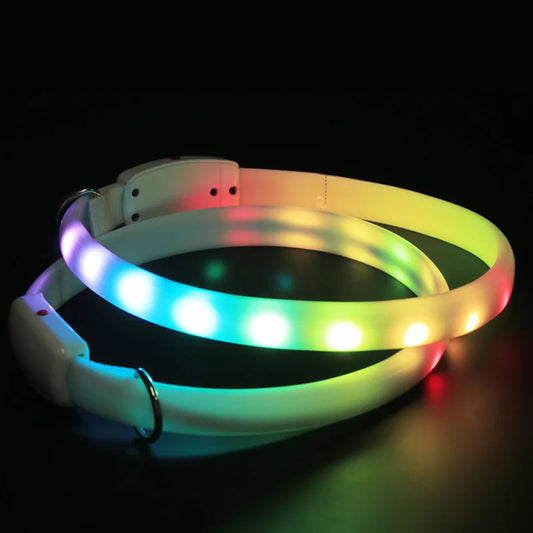 Rainbow light up dog collar