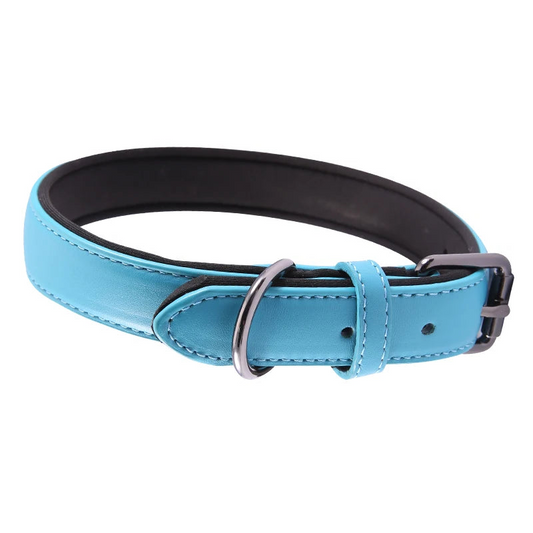 Blue leather dog collar